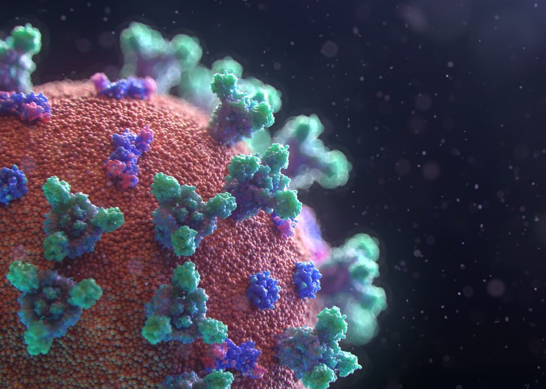 Myth #2: There are multiple strains of COVID-19